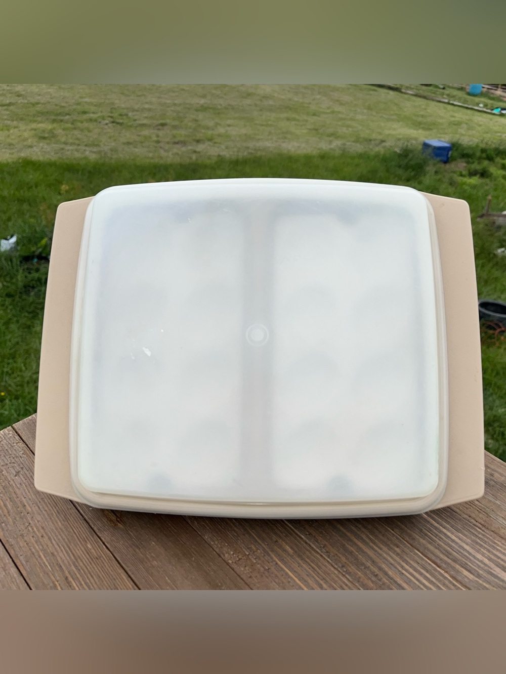 Vintage TUPPERWARE Deviled Egg Keeper Carrier Storage Holder Beige